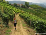 Trail tra le vigne del Moscato